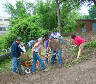 Samantha Helps a Group of Volunteers Plant an Ash Tree