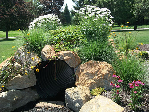 Tunnel With Strawberry Patch On Top
